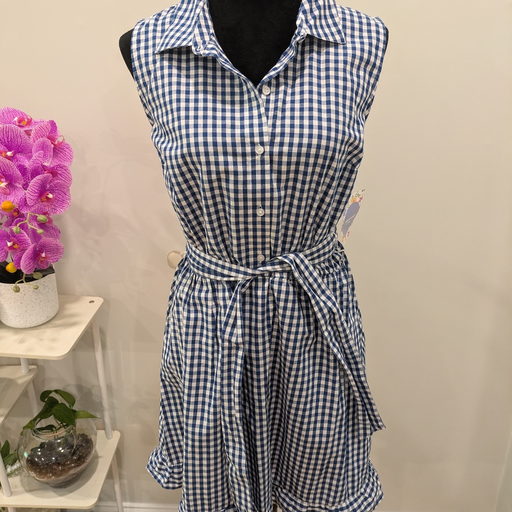 Madison Grey Blue and White Sleeveless A-Line Midi Dress